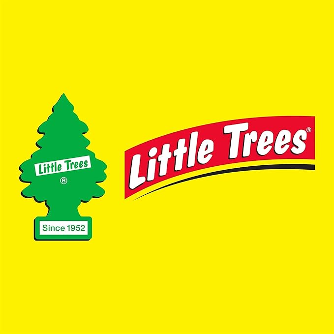 Little Trees Auto Air Freshener, Hanging Card, Warm Pumpkin Spice, 3 Pack