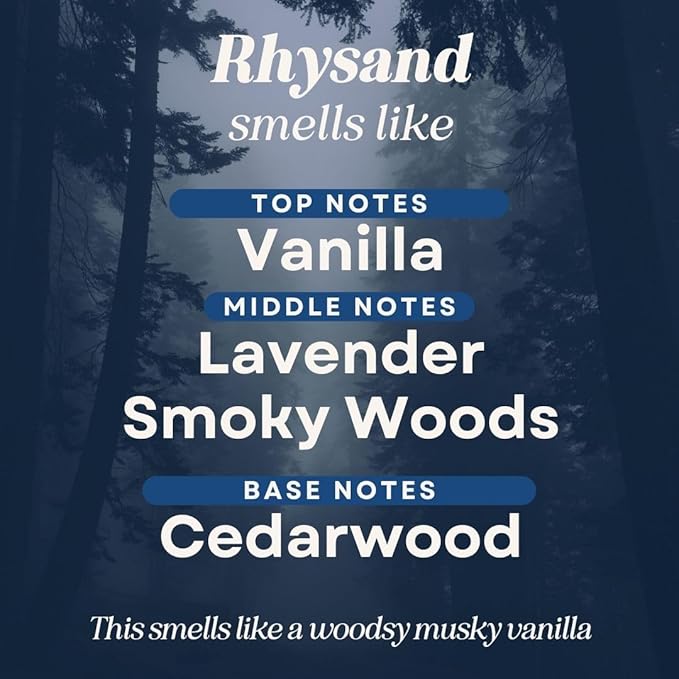 CANDECraftCo 2 Pack Bookish Scents Car Air Freshener for Essential Oils, Aromatherapy Automobile Diffuser, Gift for Her, Library, Book Lover Gift, Reading Bibliophile (Rhysand)