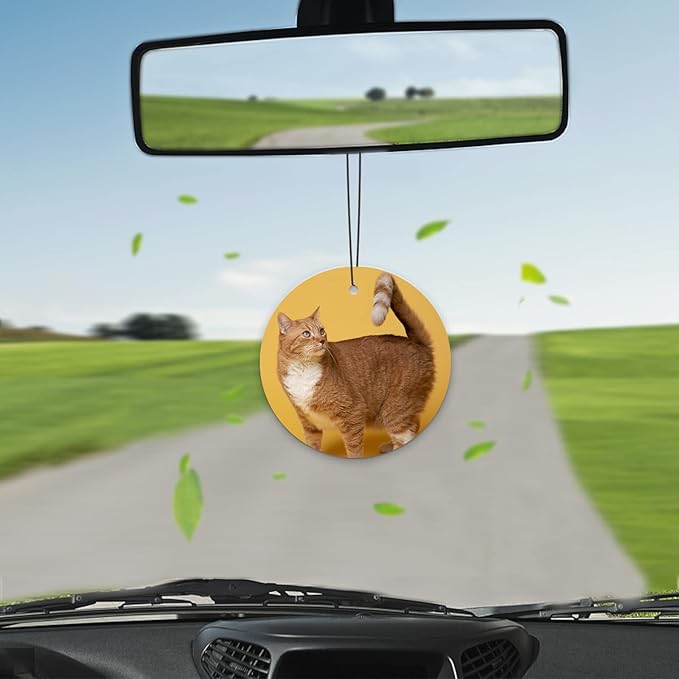 Custom Air Freshener for Car - Personalized Air Freshener for Car with Photo, Smell Air Fresheners with Picture for Hanging Ornaments (Unique Scented Gift)