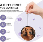Car Air Freshener 4 Pcs Air Freshener for Car Aromatherapy Tablets Long haired Dachshund Hanging Fragrance Scented Cards Funny Scented Hanging Sheet for Bedroom Wardrobe Shoe Cabinet