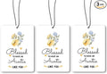 Auntie Aunt Gifts Car Air Freshener Hanging 3 Pack, Blessed to Have An Auntie Car Accessories Gifts for Aunt Christmas Women,Rustic Floral Scent Card Lavender for Closet Drawer Bathroom Decor