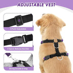 Lukovee Dog Seat Belt for Car, Adjustable Dog Car Harness for Large Medium Small Dogs, Soft Padded & Breathable Mesh Dog Seatbelt with Car Strap and Carabiner (Purple,XS)