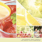 Yankee Candle Smart Scent Auto Vent Clip Car Air Freshener, Iced Berry Lemonade (Pack of 6)