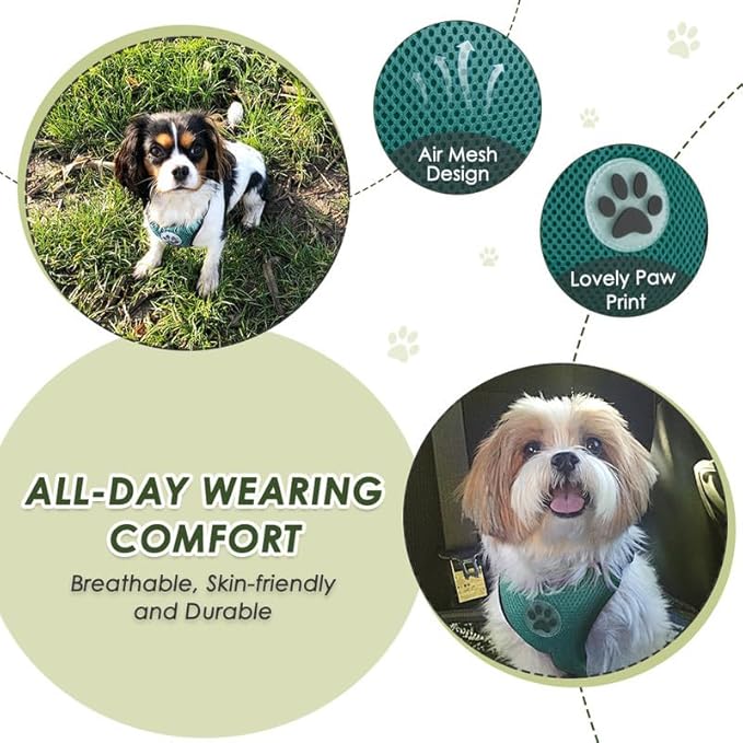 SlowTon Dog Seat Belt Harness for Car, Dog Car Harness Adjustable Mesh Breathable & Dog Seatbelt Safety Tether with Elastic Bungee for Small Medium Large Pets(Green, Double Clip, S)