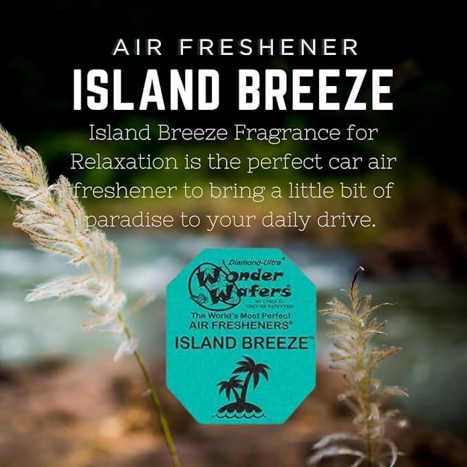 Wonder Wafers 250 Count Unwrapped Automobile Professional Use Air Fresheners Car and Truck Detail (Island Breeze)