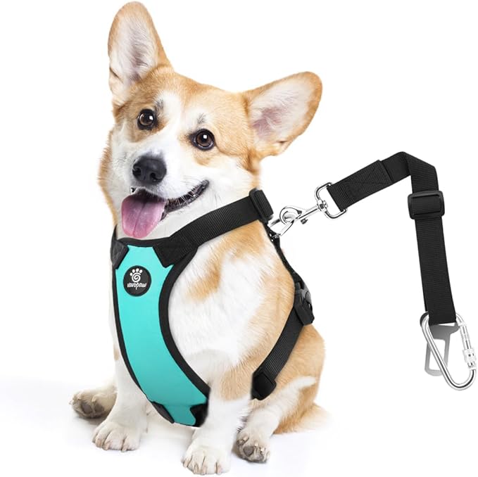 Dog Seat Belt, Safety Vest Dog Car Harness with Adjustable Buckle Dog Seat Belt for Vehicle Nylon Pet Safety Seat Belts Heavy Duty(M, Blue)