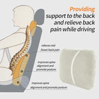 Beige Lumbar Support Pillow for Car Driving Seat Soft Latex Lower Back Support Relax Home Desk Office Accessories Chair Cushion Pain Relief