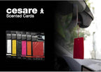 Cesare Scented Cards Car Air Freshener Long Lasting Uses Alcohol Free Fragrance Oil Non-Toxic EVA Material Pack of 6 Different Fragrances