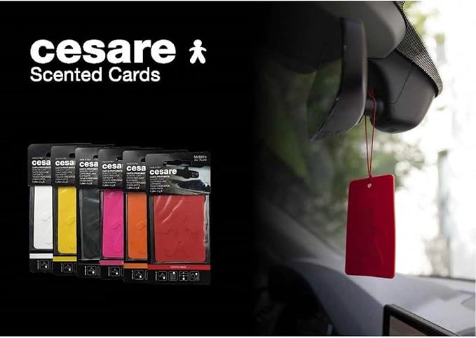 Cesare Scented Cards Car Air Freshener Long Lasting Uses Alcohol Free Fragrance Oil Non-Toxic EVA Material Pack of 6 Different Fragrances