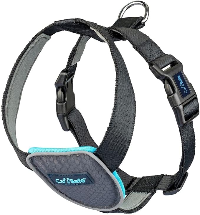 CarSafe Dog Travel Harness - Safely Secure Dog in car, ensures Road Laws and Insurance Terms When Travelling with Your pet. for Toy, Small, Medium and Large Dogs (Size Small)