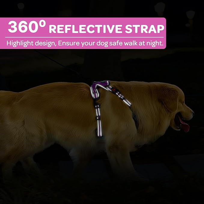 FURRYFECTION Plaid Dog Harness for Small Dogs, Reflective No Pull Adjustable Pet Vest with Front Clip, Leash, Easy Control Handle and Seat Belt, Rose, S