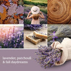 Yankee Candle ScentPlug Refill, Dried Lavender & Oak (Pack of 6)