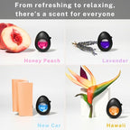 Air Jungles Car Air Freshener Vent Clip 4 Count, 4 ml Each, Long-Lasting Car Odor Eliminator, Up to 120 Days Freshness for Auto, Truck, Home