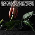 Activated Bamboo Charcoal 100g / 0.22lbs for Teeth Cleaning, Face Masks, Scrubs and Soap Making