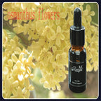 1 Pcs Solar Energy Car Air Freshener & Aromatherapy Oil Diffuser - Rotating Scent Car Decoration - Silver, Osmanthus