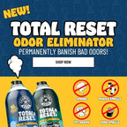 Chemical Guys Odor Eliminating Aerosol Fogger, Black Frost Scent - 3 oz Single Can For Cars, Trucks, And SUVs - Set-And-Forget Interior Deodorizer Neutralizes Smoke, Pet, Gym, And Food Odors & More