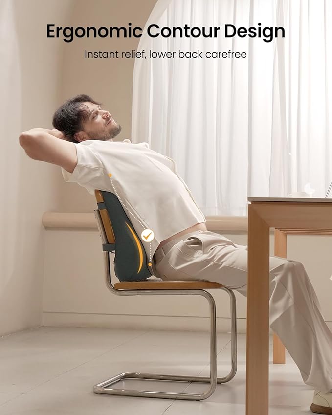 ProtoArc Lumbar Support Pillow for Office Chair, Memory Foam Back Support Pillow for Lower Back Fatigue Relief, Lumbar Pillow Desk Chair Back Cushion, Ergonomic Back Rest for Chair - Dark Gray