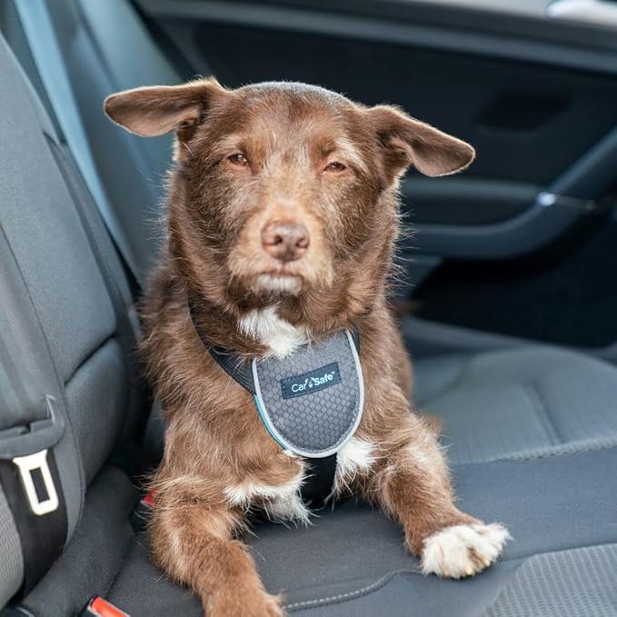 CarSafe Dog Travel Harness - Safely Secure Dog in car, ensures Road Laws and Insurance Terms When Travelling with Your pet. for Toy, Small, Medium and Large Dogs (Size Small)