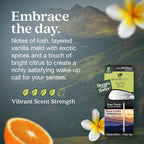 Enviroscent Non-Toxic* Car Air Freshener Auto Stix® - Scents Made Safer - Enjoy Fragrance Lasts Up to 480 Days - Includes Auto Stix® Diffusers & Elastic Loops - Black Vanilla & Mandarin (Pack of 8)
