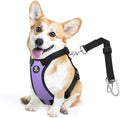 Dog Seat Belt, Safety Vest Dog Car Harness with Adjustable Buckle Dogs Seat-Belt for Vehicle Nylon Pet Safety Seats Belts Heavy Duty(M, Purple)