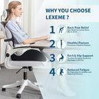 Lexeme X Large Memory Foam Seat Cushion Lumbar Support Pillow for Sciatica & Tailbone Pressure Relief Coccyx Pad for Office Chair, Car,Wheelchair,Home,Office