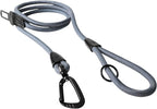 PawsPassion Rope Dog Leash 6 FT, 2-in-1 Heavy Duty Dog Leash with Seat Belt Buckle, Tangle Free 360ｰ Swivel Aviation Aluminum Carabiner, All Metal Hardware, Alloy O-Ring (Horizon)