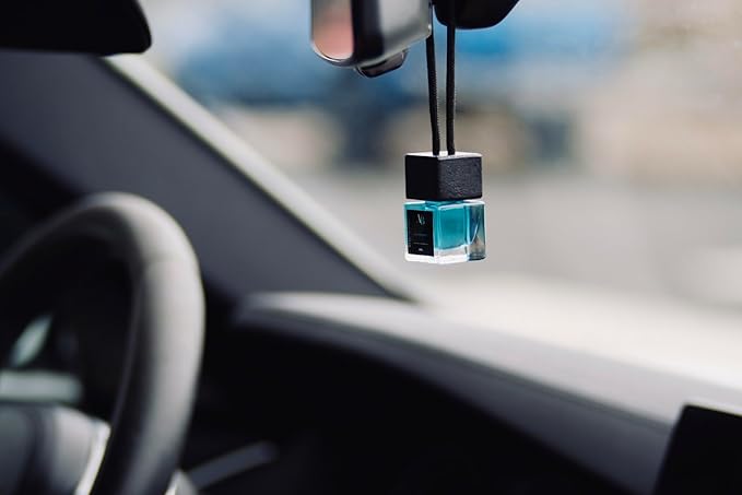 Blueberry Car Scents Air Freshener | Strong Car Perfume Air Freshener | Long Lasting Hanging Car Air Freshener Car Diffuser Bottles Glass Perfume Diffuser Bottle Essential Oils Fragrance Aromatherapy