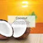 3 Singles Little Trees Car Air Freshener Coconut Fragrance