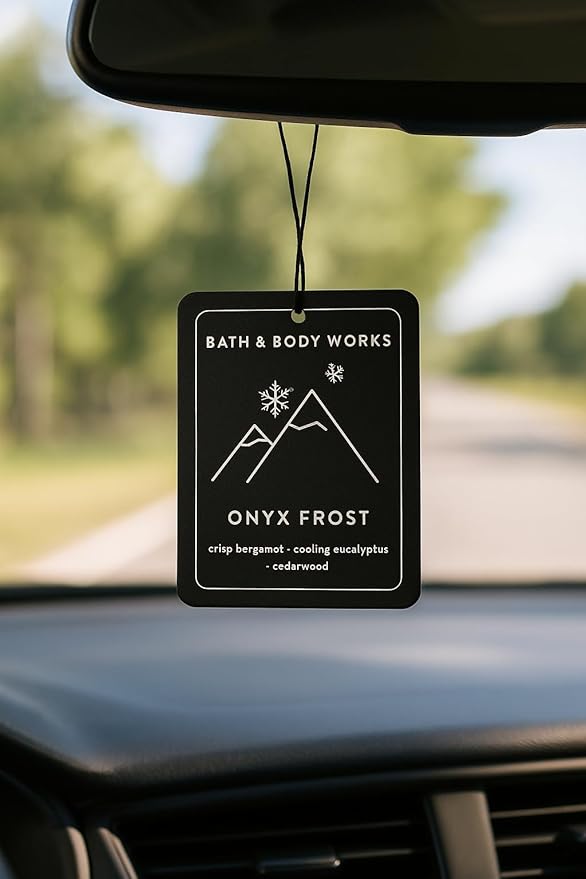 Bath & Body Works Onyx Frost Hanging Fragrance Diffuser – Long-Lasting Air Freshener for Car, Closet, or Home, Elegant Decorative Scent Diffuser