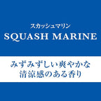 Carall Glare Luxury Car Air Freshener Squash Marine A332 - Made in Japan