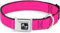 Dog Collar Seatbelt Buckle Hot Pink 15 to 26 Inches 1.0 Inch Wide, Multicolor