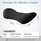 Lumbar Support Pillow for Office Chair and Car - Ergonomic Memory Foam Back Support Cushion for Automotive Seat, Desk Chair, and Recliner (Black)
