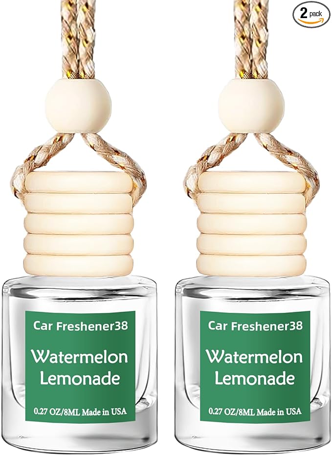 Hanging Car Air Freshener, Long Lasting Essential Oil Diffuser, Non-Toxic New Car Scent, Cute Car Fresheners for Women, 2 Pack Made in USA