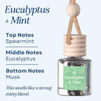 C&E Craft Co Hanging Car Air Freshener Diffuser 2 Pack, Long Lasting Fragrance Oil Car Freshener, Glass Bottle Auto Air Freshener, Made in USA (Eucalyptus & Mint)