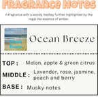 Car Air Freshener | Ocean Breeze Scented Car Fresheners for Women & Men | Long Lasting Fragrance Car Scents | Air Diffuser with Car Vent Clip (2 Pack Car Scent), Clear