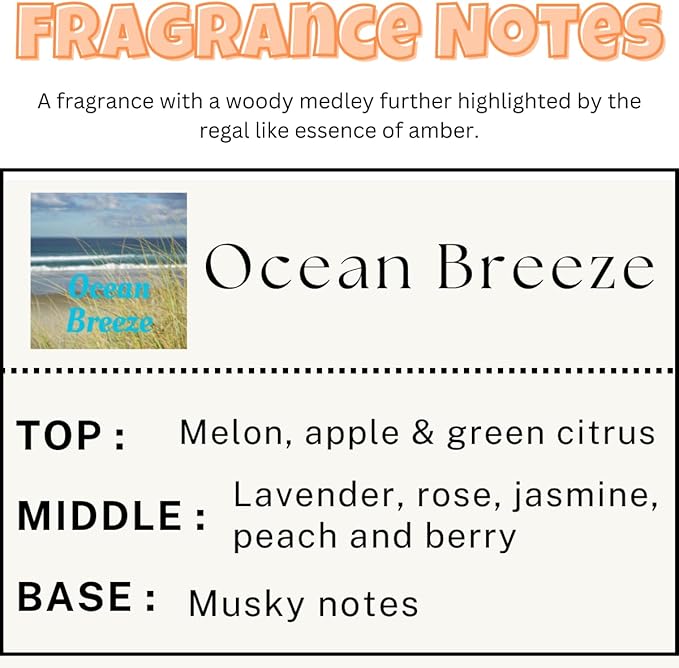 Car Air Freshener | Ocean Breeze Scented Car Fresheners for Women & Men | Long Lasting Fragrance Car Scents | Air Diffuser with Car Vent Clip (2 Pack Car Scent), Clear