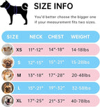 IVY&LANE No Pull Dog Harness for Small Dogs, Dog Vest Harness with Leash, Safety Belt and Storage Strap, Fully Adjustable Harness, 360° Reflective Strip, Soft Handle (Blue, S)