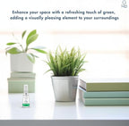 G’s Breeze Green Apple Air Freshener - Long-Lasting Refreshing Fragrance for Home, Car, Offices - 48 Hours of Fruity Scent of Crisp Apple Fruity - Oil Burner Compatible and Pet-Friendly