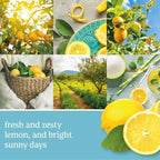 Yankee Candle Sicilian Lemon ScentPlug Refill, Zesty Citrus Essential Oil Air Freshener, Continuous Home Fragrance for Kitchen and Bath, 1 Fl Oz (Pack of 4)