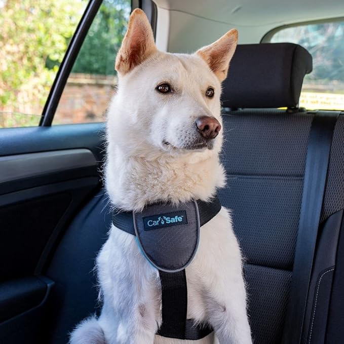 CarSafe Dog Travel Harness - Safely Secure Dog in car, ensures Road Laws and Insurance Terms When Travelling with Your pet. for Toy, Small, Medium and Large Dogs (Size Medium)