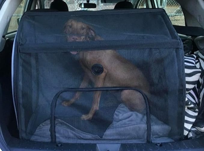 Soft Pet Travel Car Seat Crate for Large Size Dog or Cat - Folds Flat - Storage Bag Included - Black Color - Portable with Case