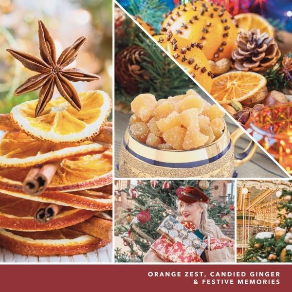 Yankee Candle ScentPlug Refill, Holiday Zest, 1 CT (Pack of 6)