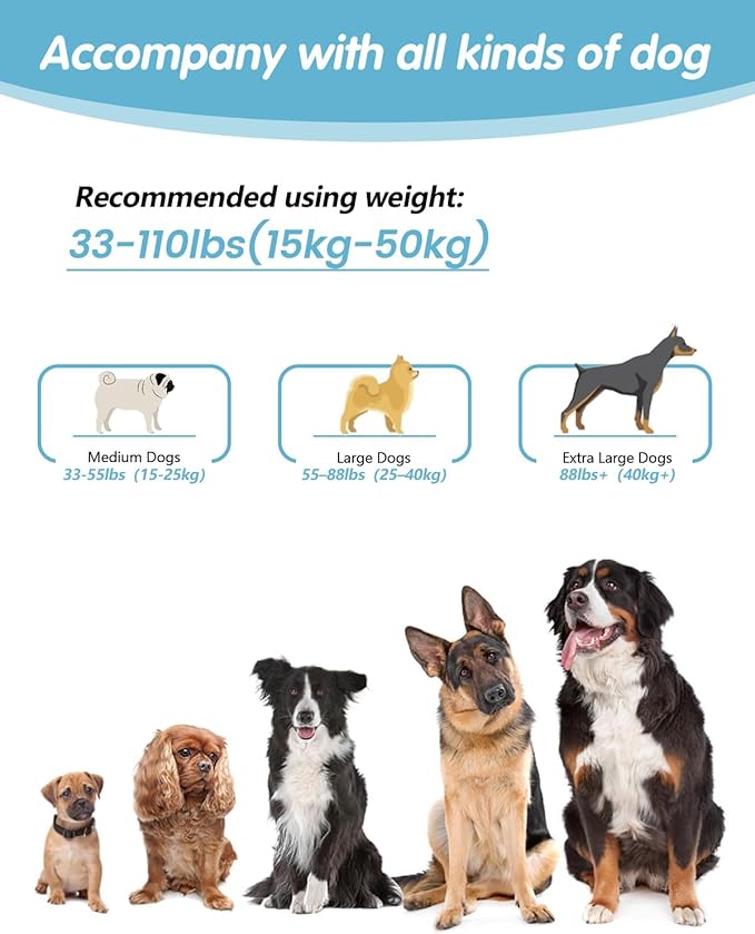Hands Free Dog Leash, Multifunctional Crossbody Leash, Long Waist Dog Belt with Car Safety Buckle and Double-Sided Reflective Stitches（Blue 5.3-7.9ft-Medium）