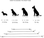 Mogoko Chew Proof Dog Car Seatbelt Safety Restraint Pet No-Chew Tether Cable Stainless Steel Dog Leash Puppy Vehicle Seat Belt Strap with Double Clip and Latch Attachment (16 inch) Black