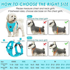 SlowTon Dog Seat Belt Harness for Car, Dog Car Harness Adjustable Mesh Breathable & Dog Seatbelt Safety Tether with Elastic Bungee for Small Medium Large Pets(Light Blue, Double Clip, L)