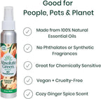 Absolute Green Air Freshener Room Spray, Non-Toxic, Cover Odors, Safe around Kids and Pets, Natural Ginger Spice Scent 4oz (Pack of 2)