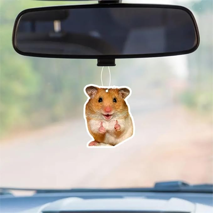 Rawan 4 Pack Car Air Freshener Squirrel, Cute for Women, Girls And Men, Funny Decor Hanging Fresheners
