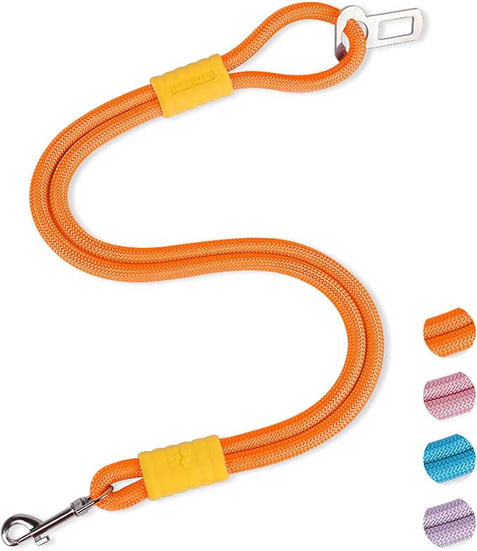 2-in-1 Dog Car Seatbelt Leash & Walking Lead - Heavy Duty 70CM Nylon Rope Leash with Secure Vehicle Buckle for Small Medium Large Dogs, for Travel, Walking, Training