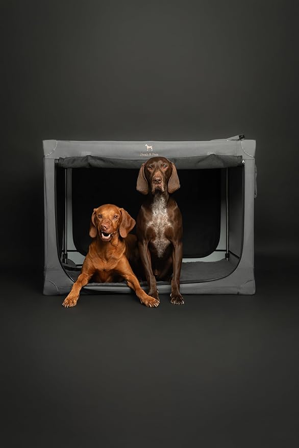 Noah & Paw Collapsible Dog Crate 26 Inch, Small Dog Crate for Small Medium Breeds, Travel Kennel for Car, Including Pet Mat for Pet Cage, 2 Storage Pockets, Handbag, 10mm Locking Zipper 26 * 17 * 17