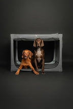 Noah & Paw Collapsible Dog Crate 26 Inch, Small Dog Crate for Small Medium Breeds, Travel Kennel for Car, Including Pet Mat for Pet Cage, 2 Storage Pockets, Handbag, 10mm Locking Zipper 26 * 17 * 17